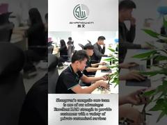 Lange aangepaste stroomkabels PVC geïsoleerd 250V met koperen geleider